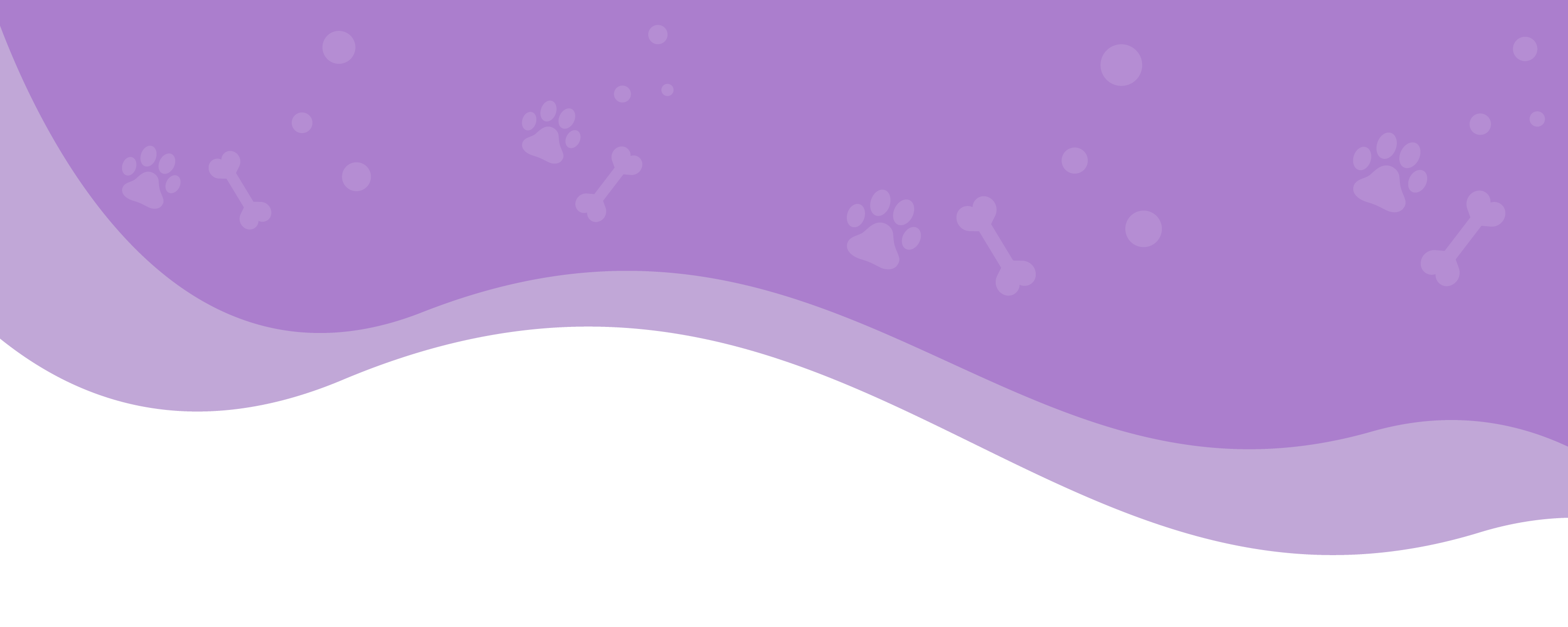 Veterinarian in Wheeling, St Clairsville Elm Grove Animal Hospital