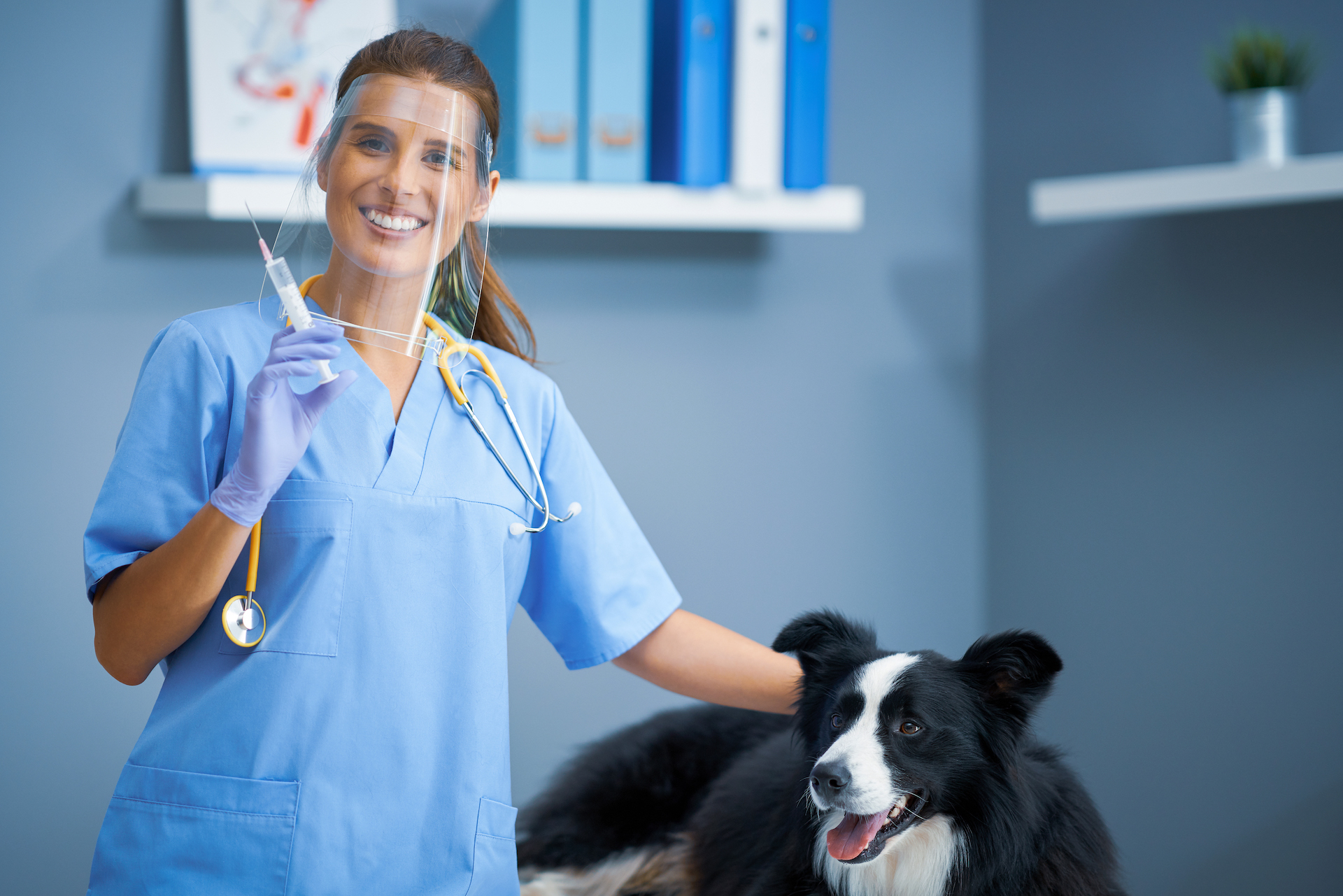 Pet Vaccines in Wheeling, St Clairsville | Elm Grove Animal Hospital