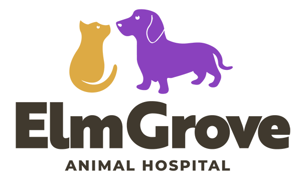 Elm Grove Animal Hospital Logo