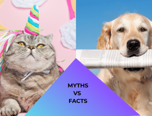 Myths vs Facts About Animal Care