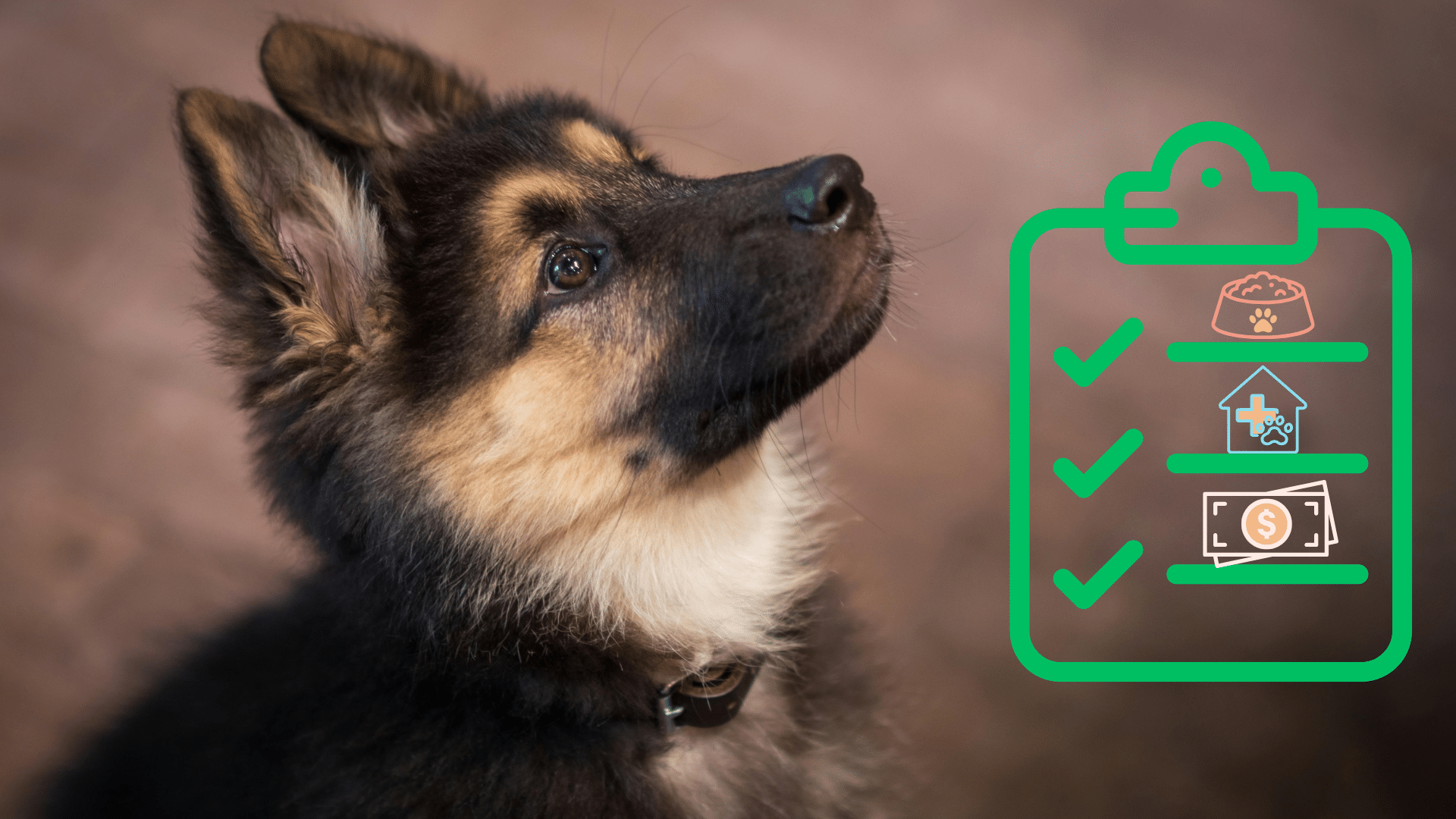 New puppy care checklist next to German Shepherd puppy in Wheeling, West Virginia